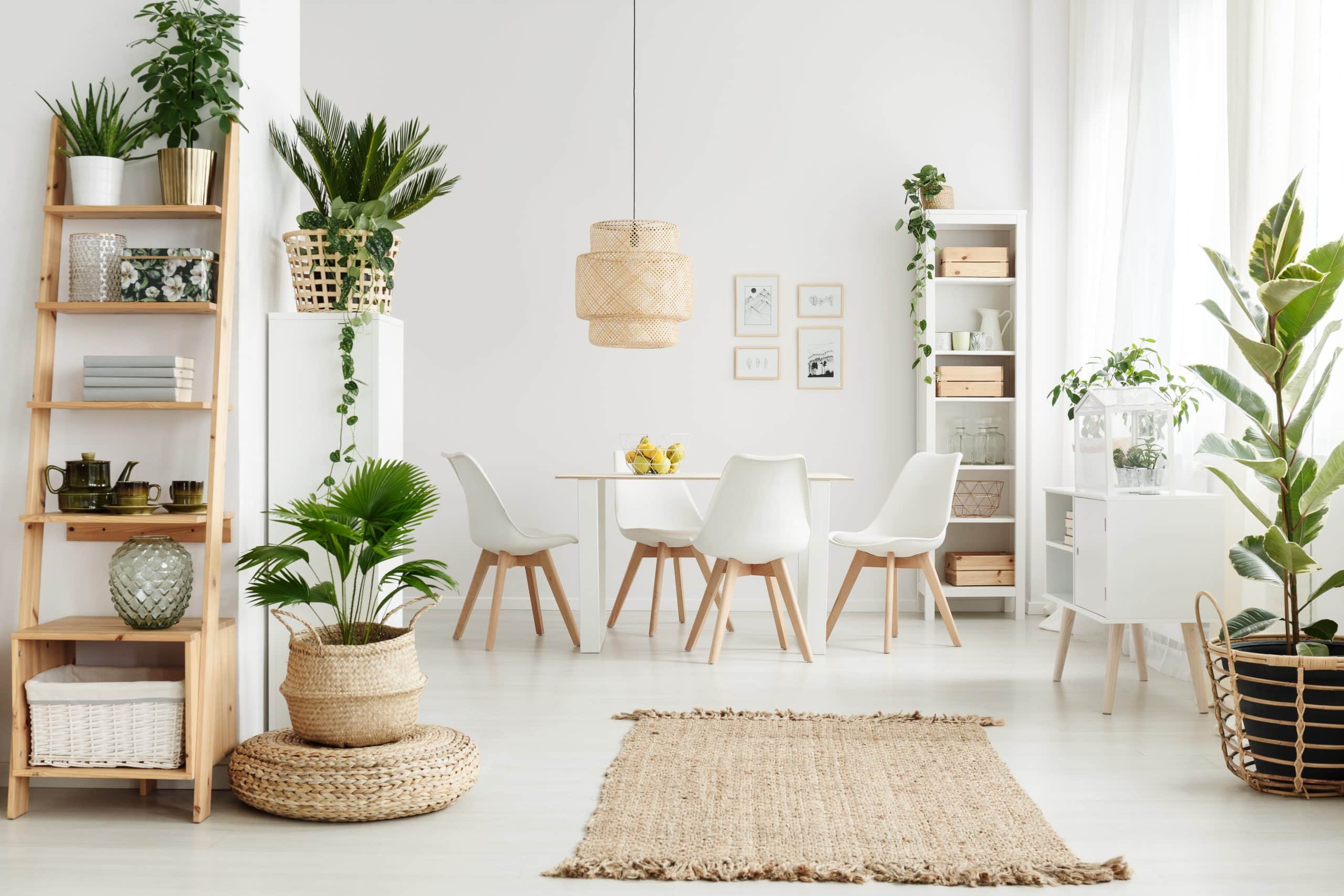 plants interior home